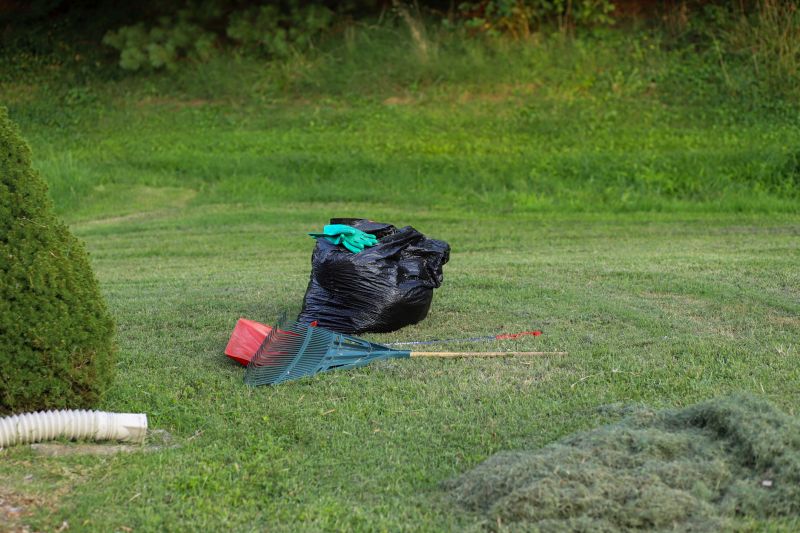 dead animal removal services