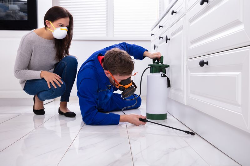 Bug Removal Service in Katy, TX